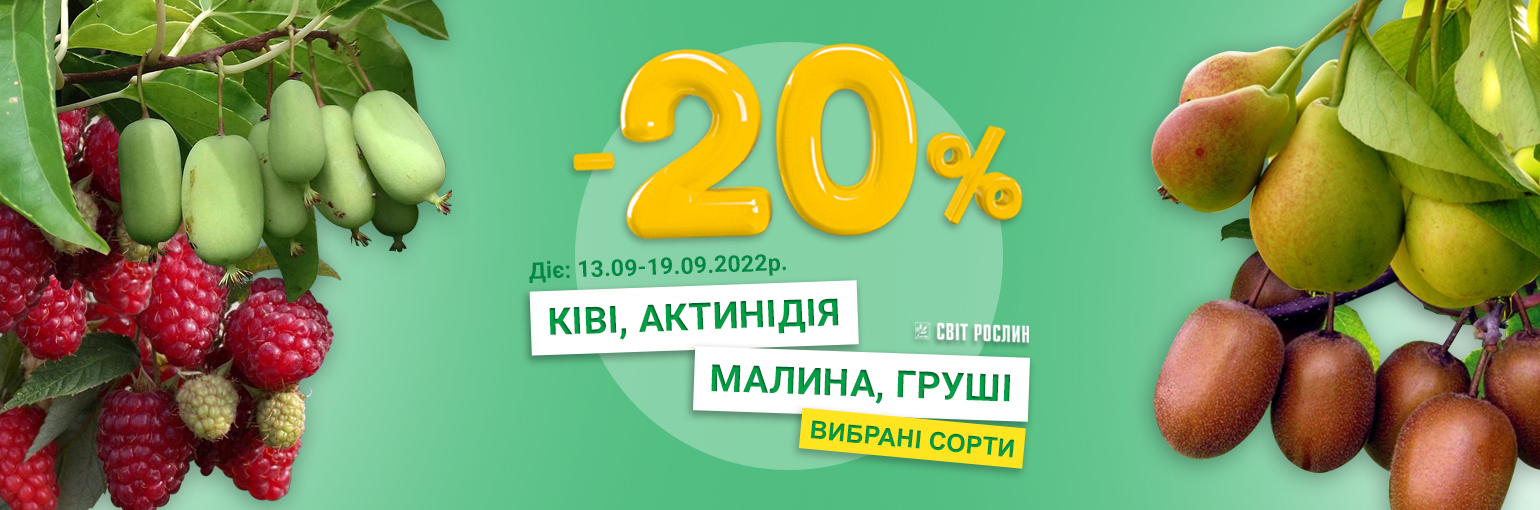 -20%   , , 䳿  