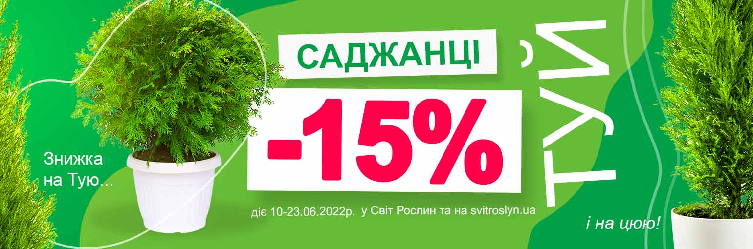  -15%  !