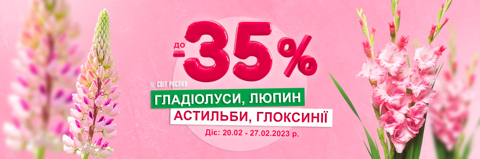 !  -35%  , ,   