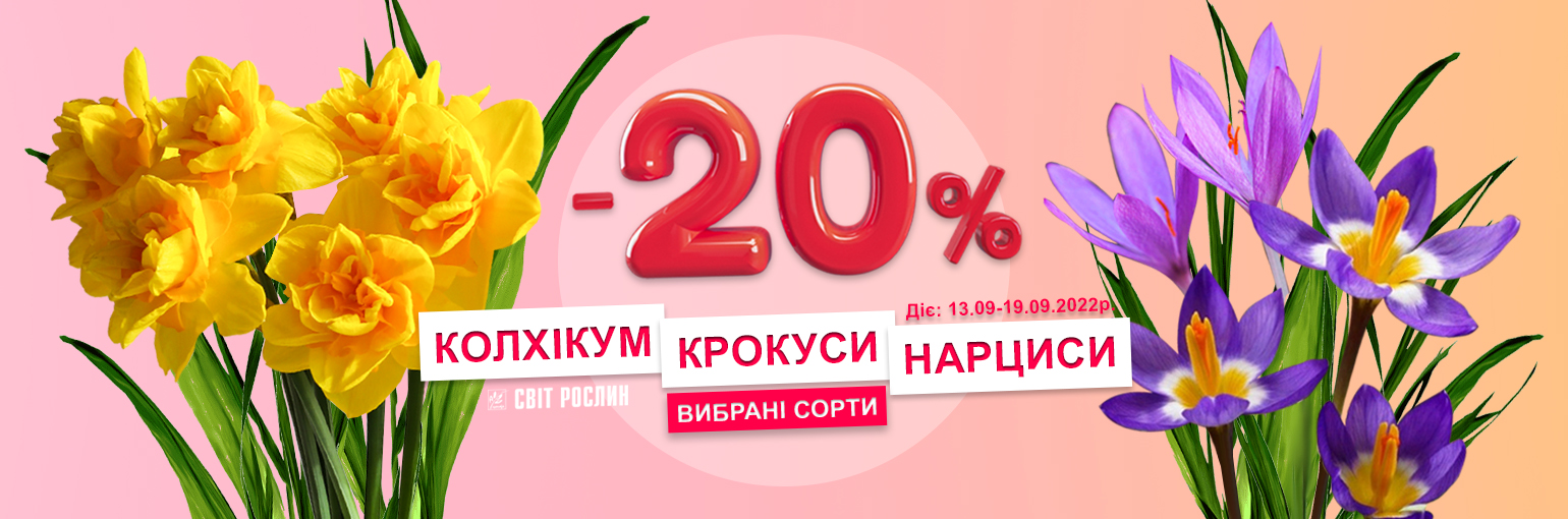 -20%  ,   