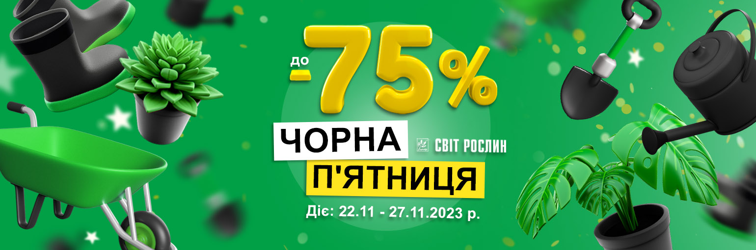   !  -75%   