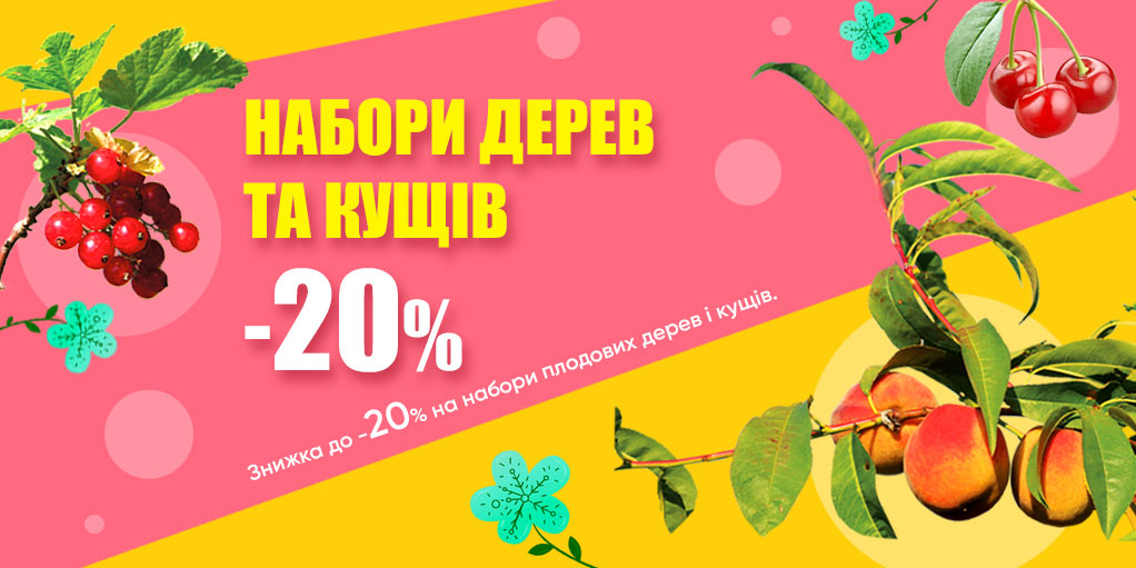   -20%      !