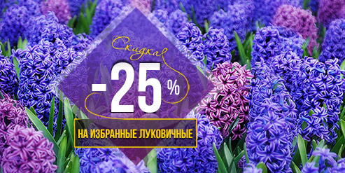 ! -25%     