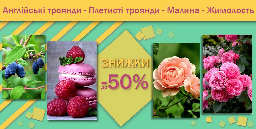 !  -50%      