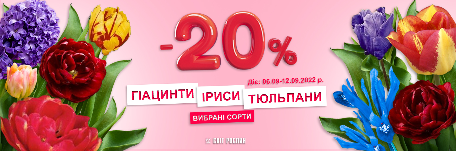 -20%  , , 