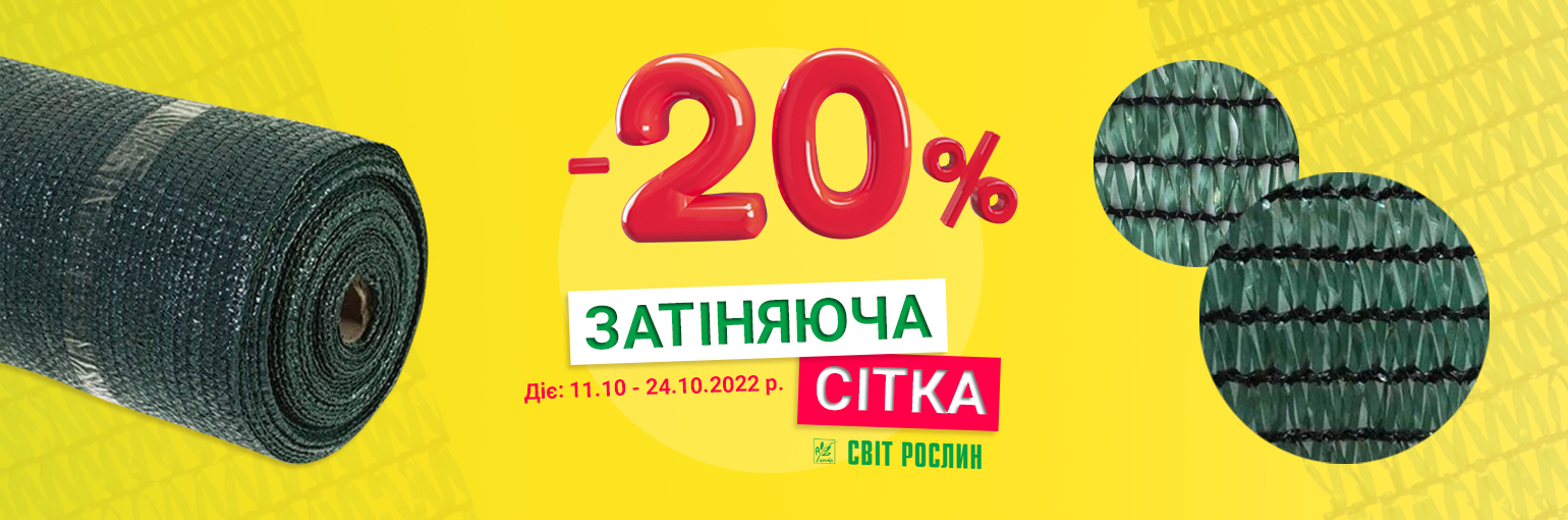 -20%   !