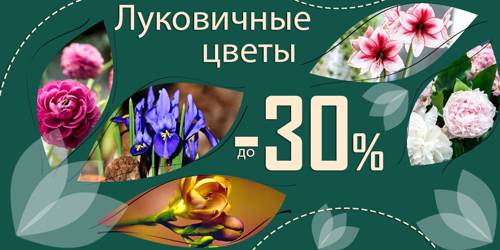 !  -30%    !