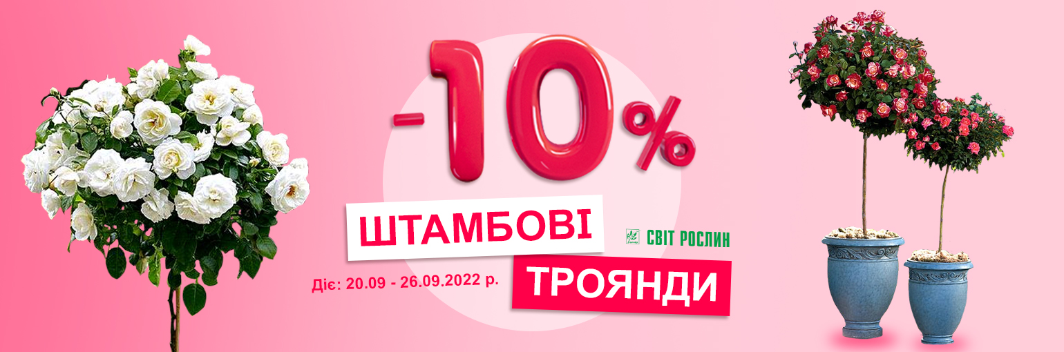 -10%   