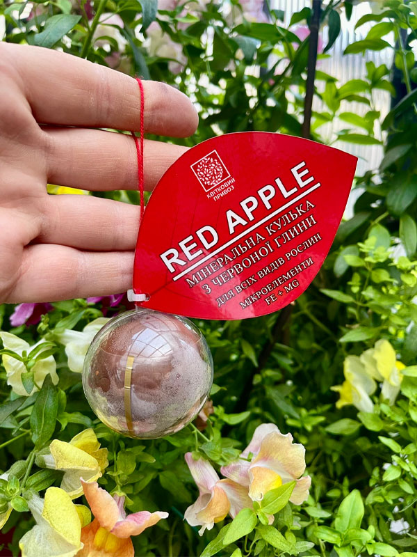  Red Apple 