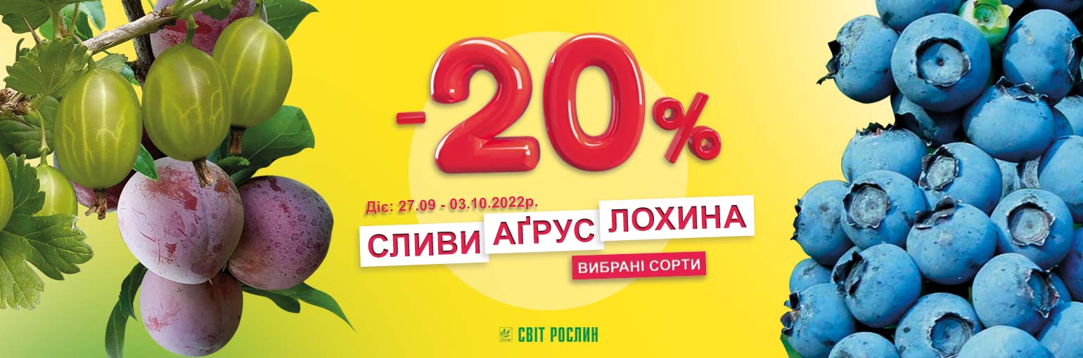 -20%  ,   