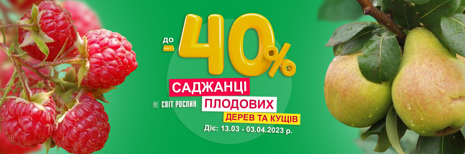 !   -40%     