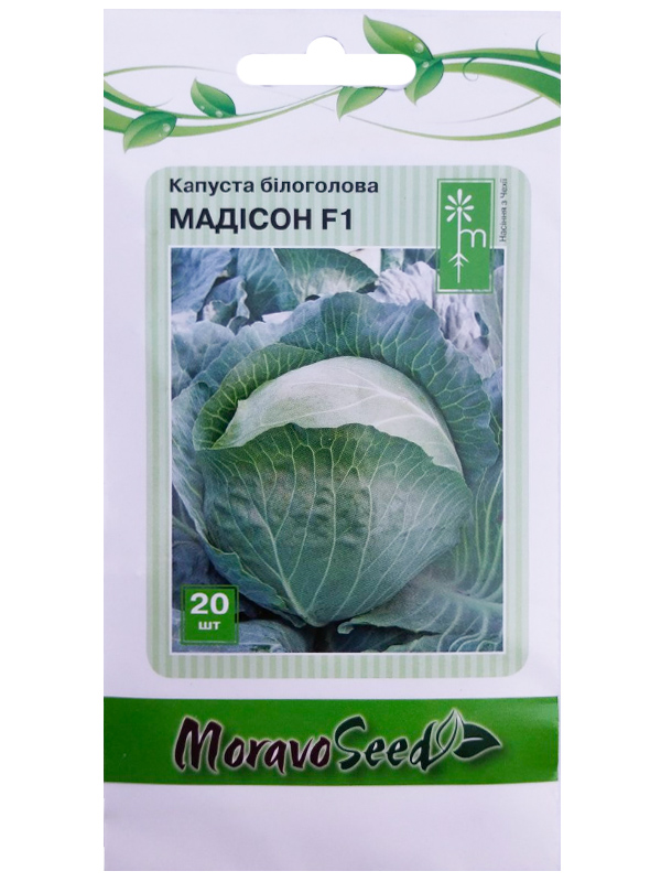    F1 20  MoravoSeed