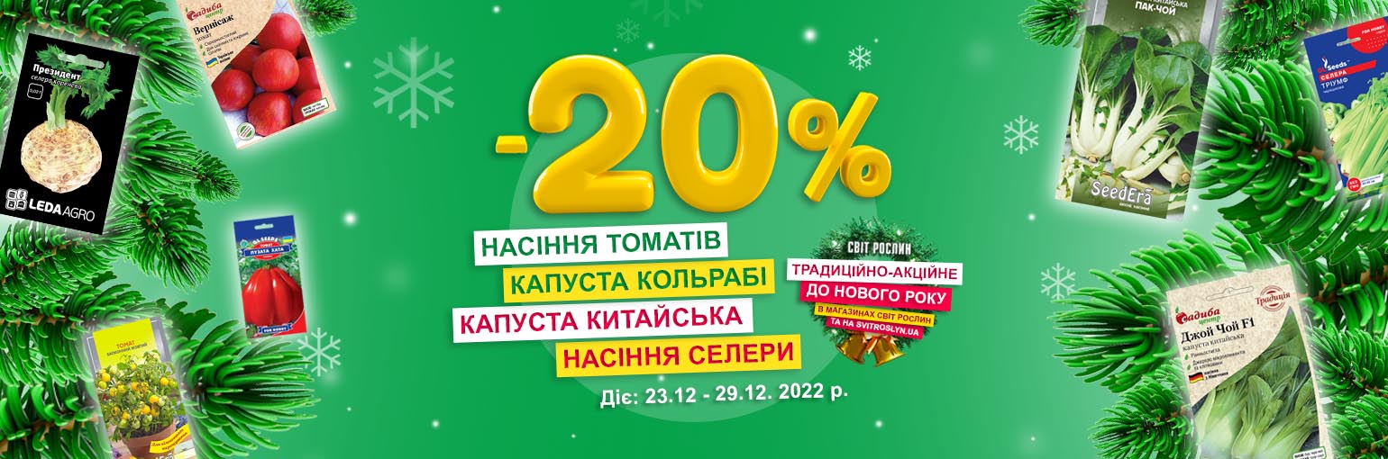 -20%   ,   .