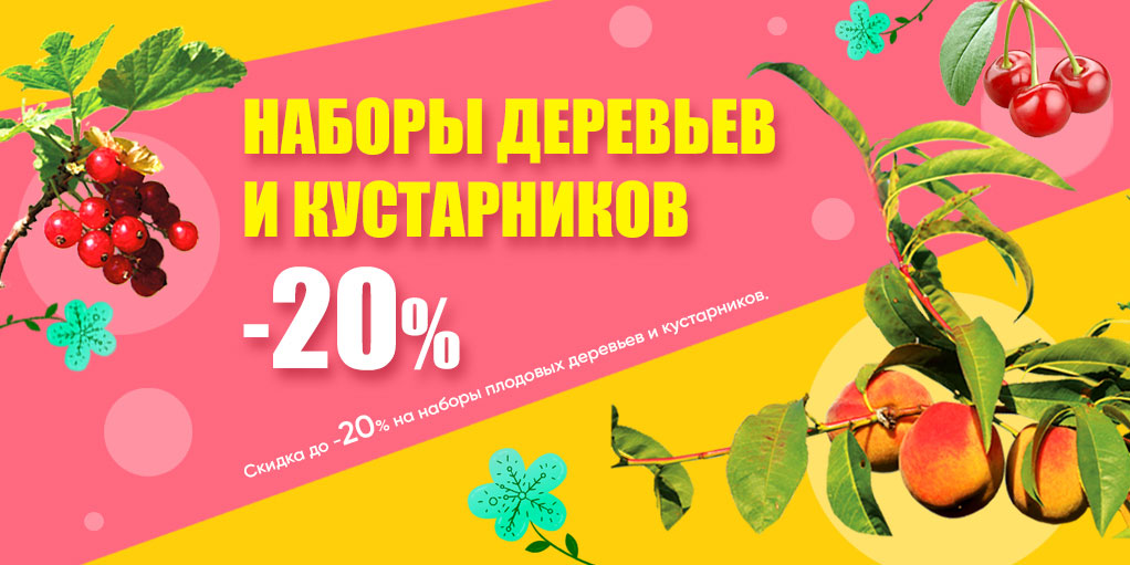   -20%      !