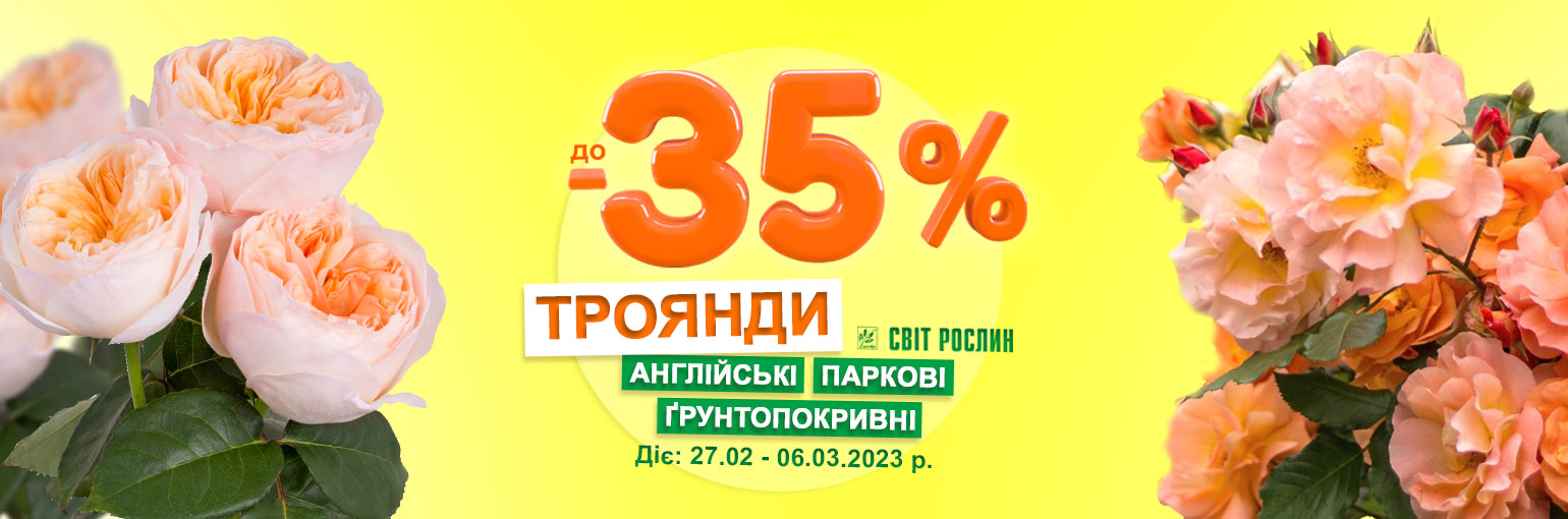 !  -35 %  ,    