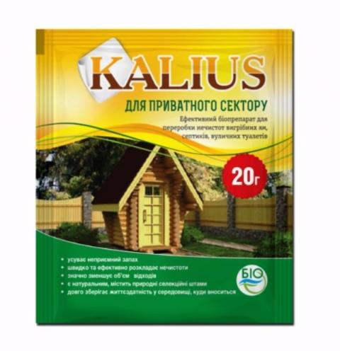   Kalius 20 