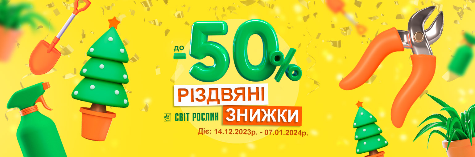    -50%