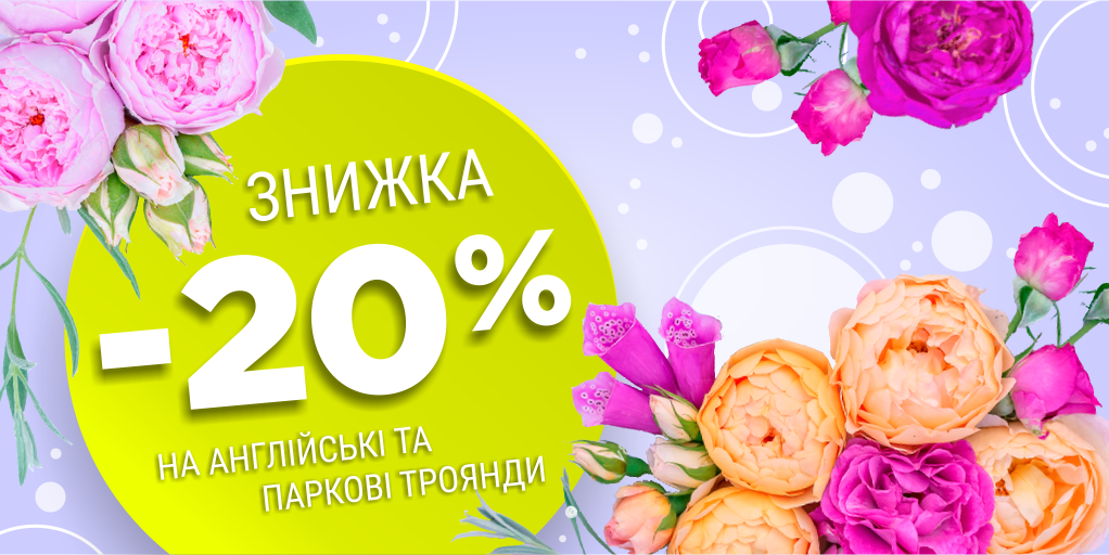 ! -20%      !