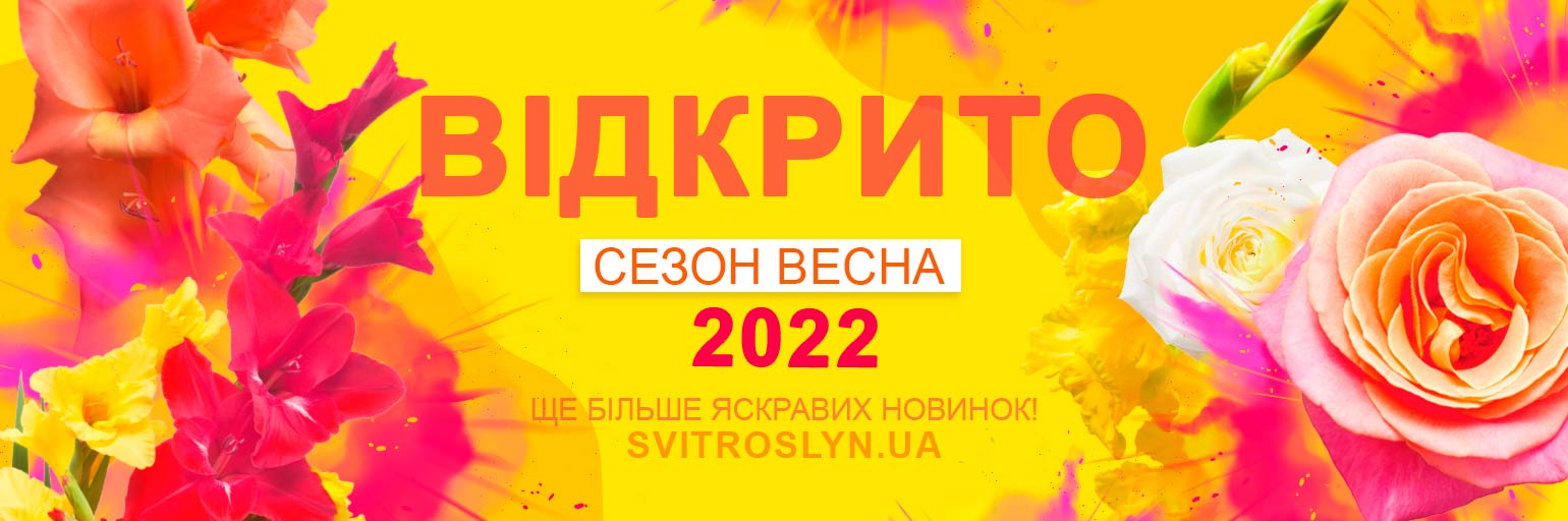    2022