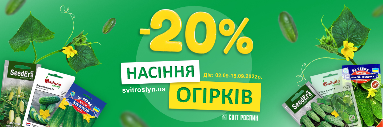  -20%   