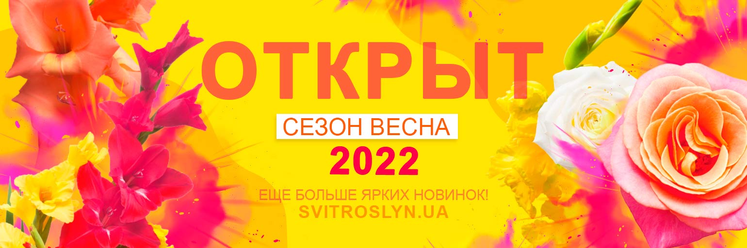    2022