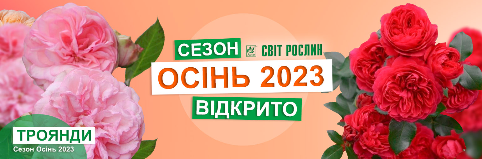  -    2023