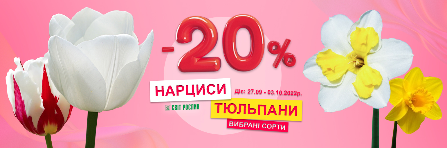 -20%    