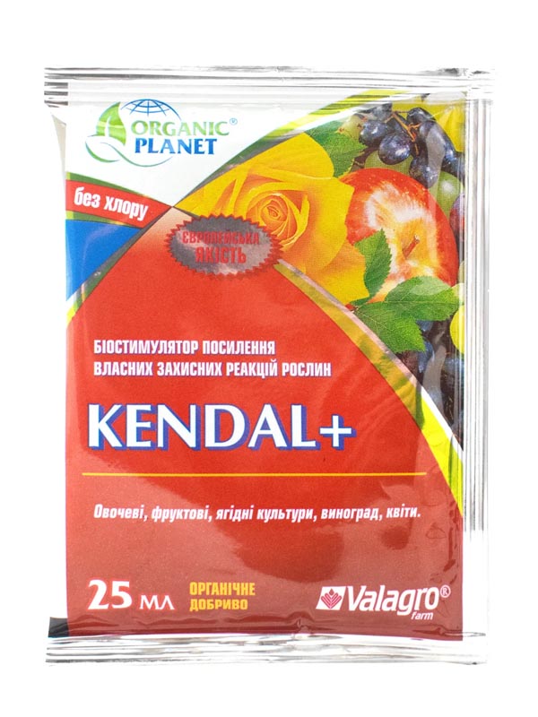  Kendal 25 