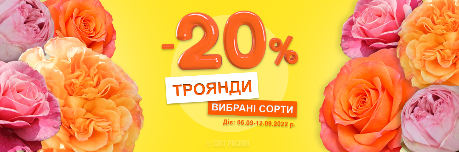 -20%   