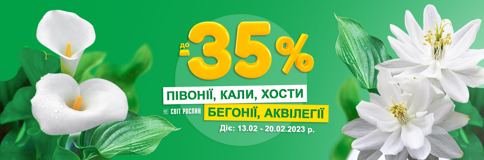  !   -35%  , , ,   㳿