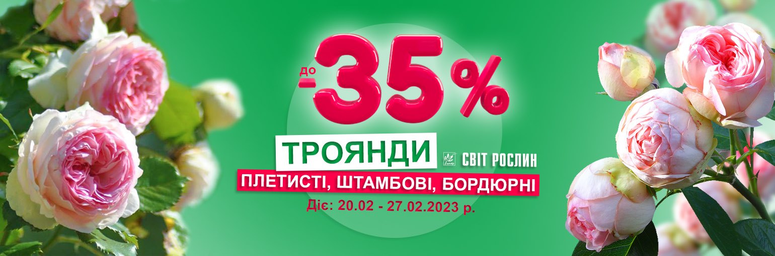  !  -35 %  ,    