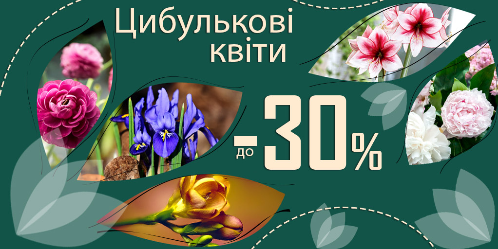 !  -30%     !