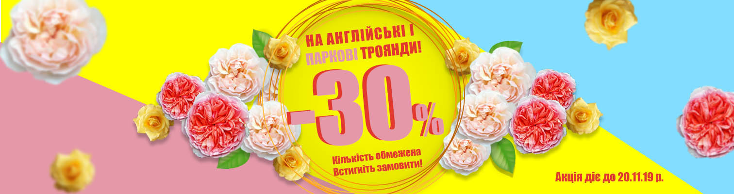 ! -30%      