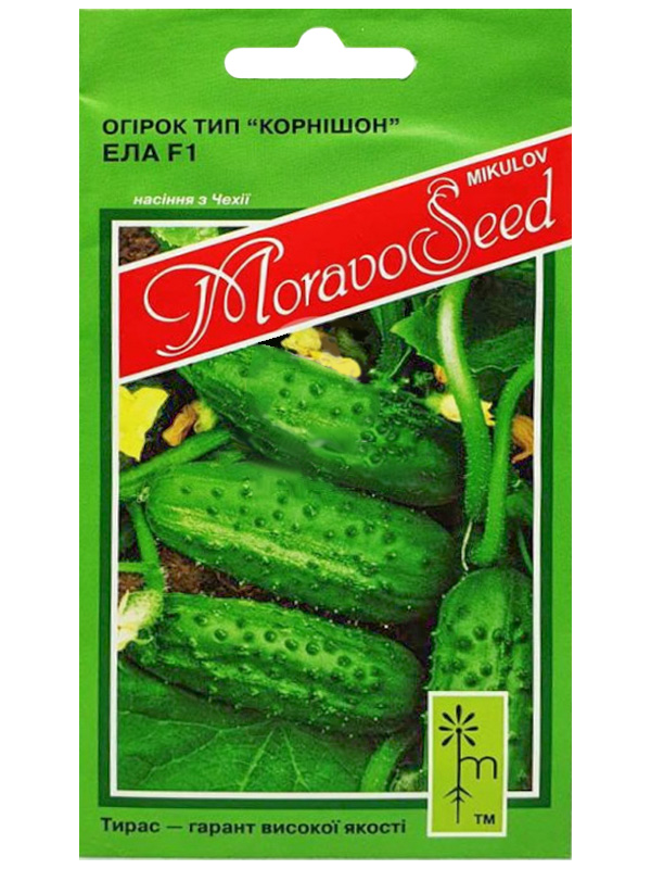     F1 1,2  MoravoSeed