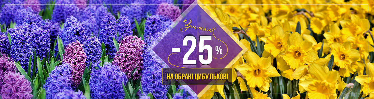 ! -25%     